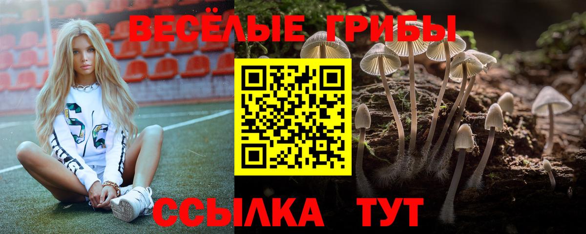 Псилоцибиновые грибы GOLDEN TEACHER Миасс